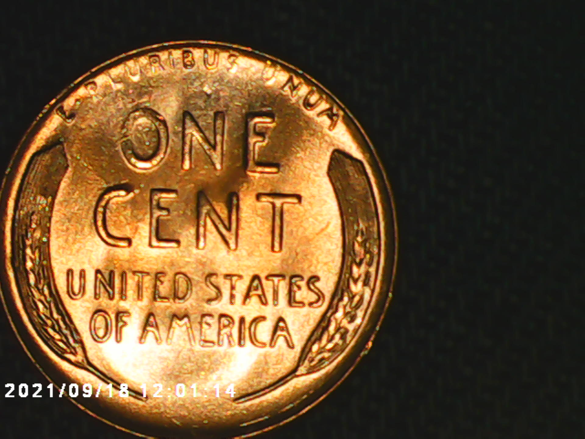 I-Need-Help-On-This-57-D-Wheat-Penny-Not-For-Sure-If-It's-A-DDO-But-Know-It-Is-A-DDR-Just-Haven't-Fo