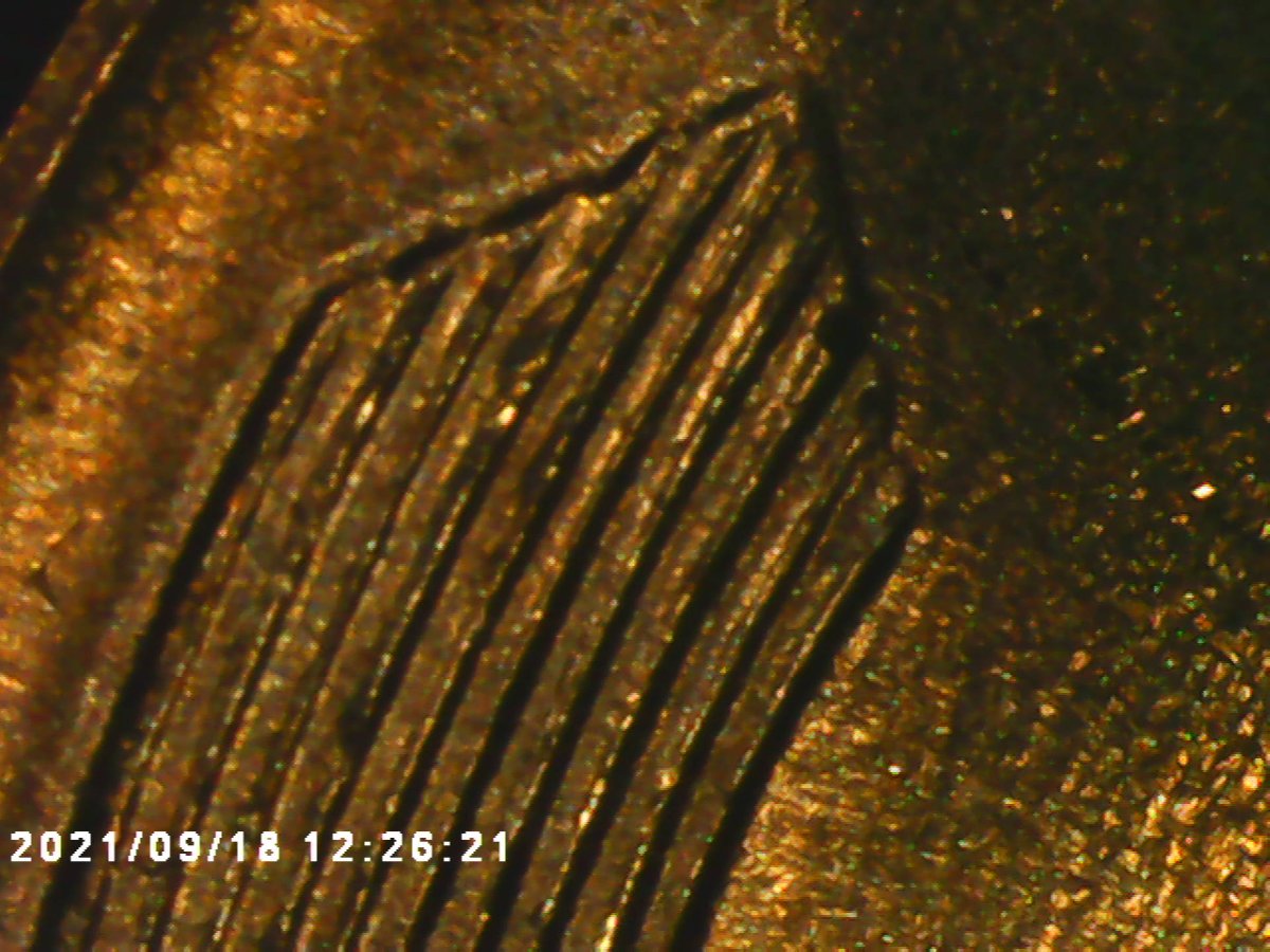 I-Need-Help-On-This-57-D-Wheat-Penny-Not-For-Sure-If-It's-A-DDO-But-Know-It-Is-A-DDR-Just-Haven't-Fo