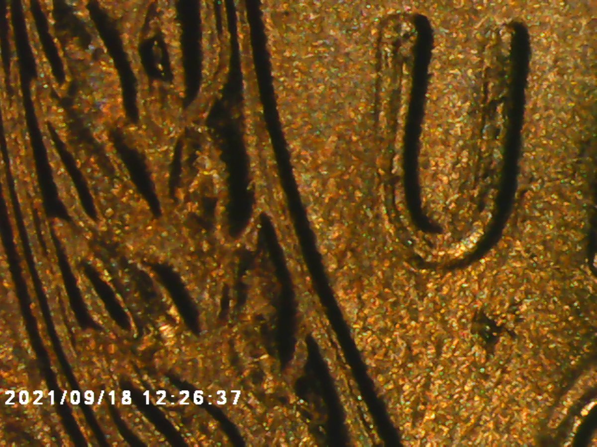 I-Need-Help-On-This-57-D-Wheat-Penny-Not-For-Sure-If-It's-A-DDO-But-Know-It-Is-A-DDR-Just-Haven't-Fo