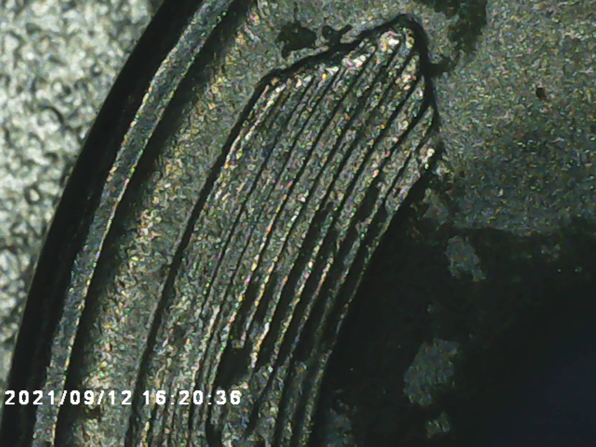 1943-Steel-Penny-WDDR-001