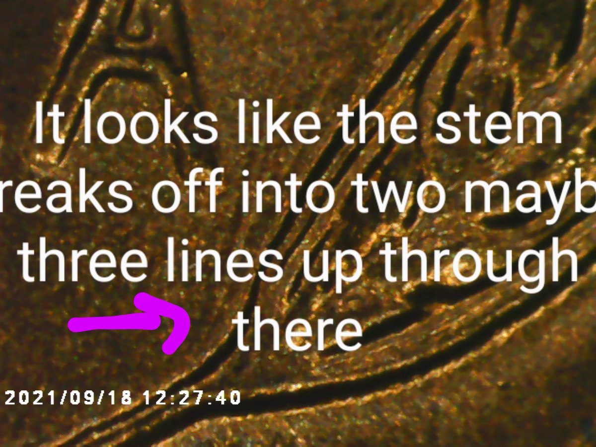 I-Need-Help-On-This-57-D-Wheat-Penny-Not-For-Sure-If-It's-A-DDO-But-Know-It-Is-A-DDR-Just-Haven't-Fo
