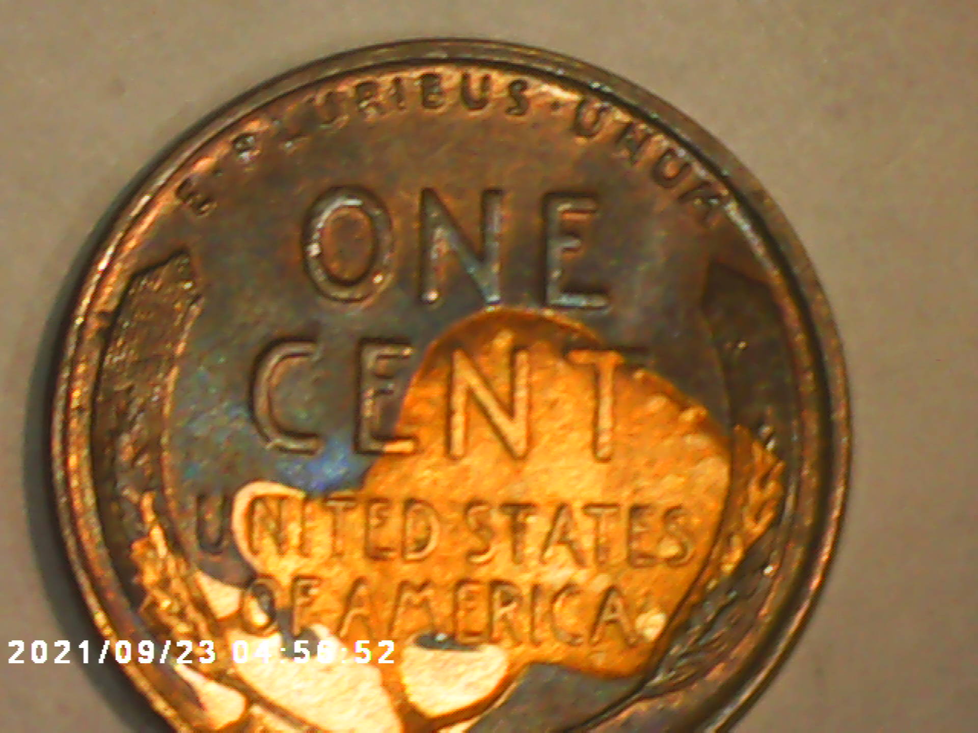 I-Have-Two-Lamination-Errors-I-Believe-So-Post-11935-Penny