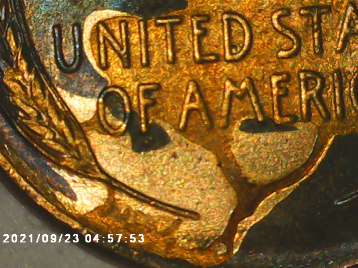 I-Have-Two-Lamination-Errors-I-Believe-So-Post-11935-Penny
