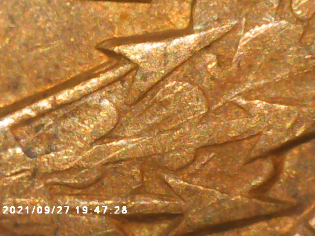 1902-Indian-Head-Penny-Wwdr-001-I-Believe