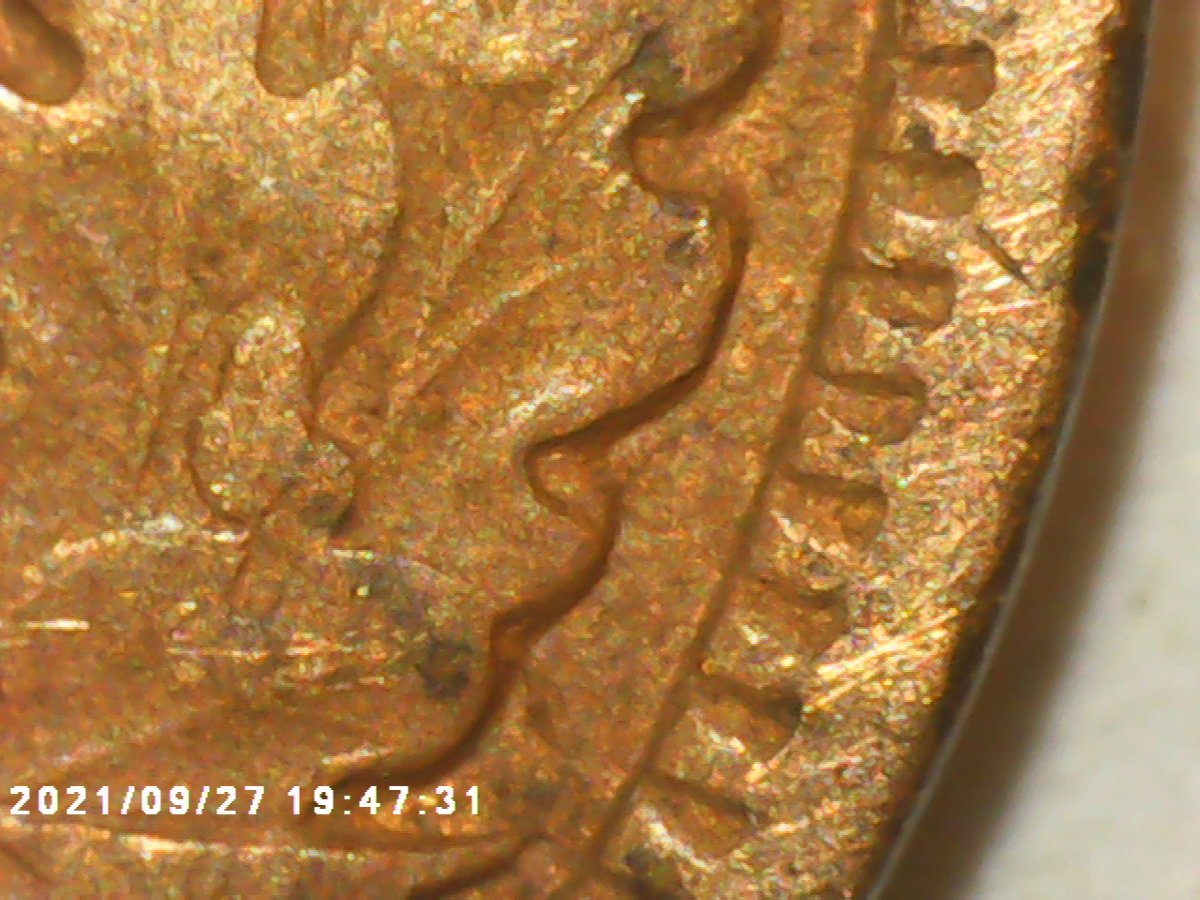 1902-Indian-Head-Penny-Wwdr-001-I-Believe