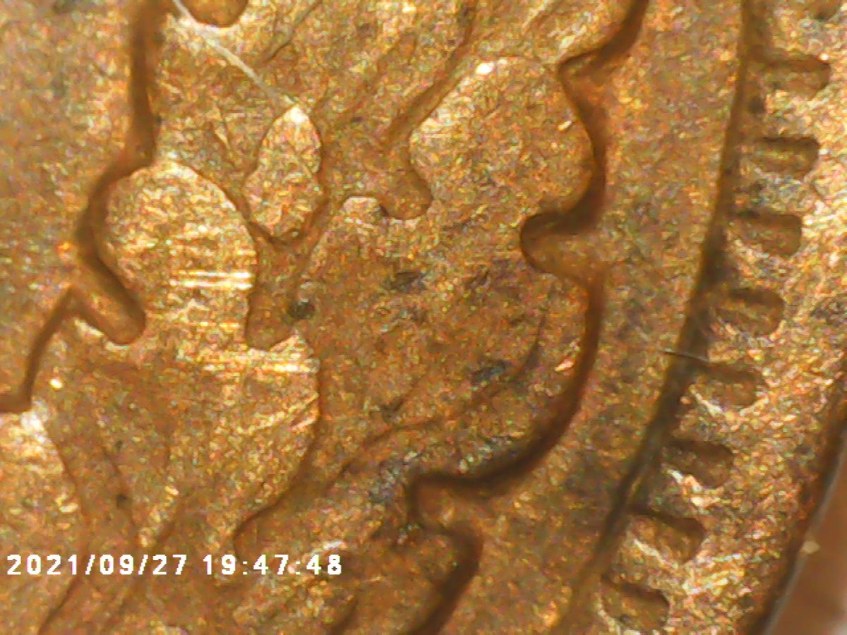 1902-Indian-Head-Penny-Wwdr-001-I-Believe