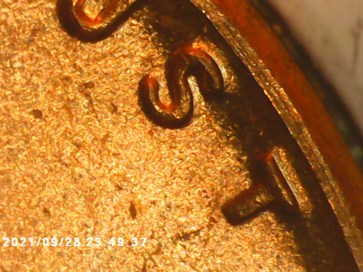 Help-1958-No-Mint-Mark.-DDO?-Or-Just-Machine-Double-Or-Worn-Die