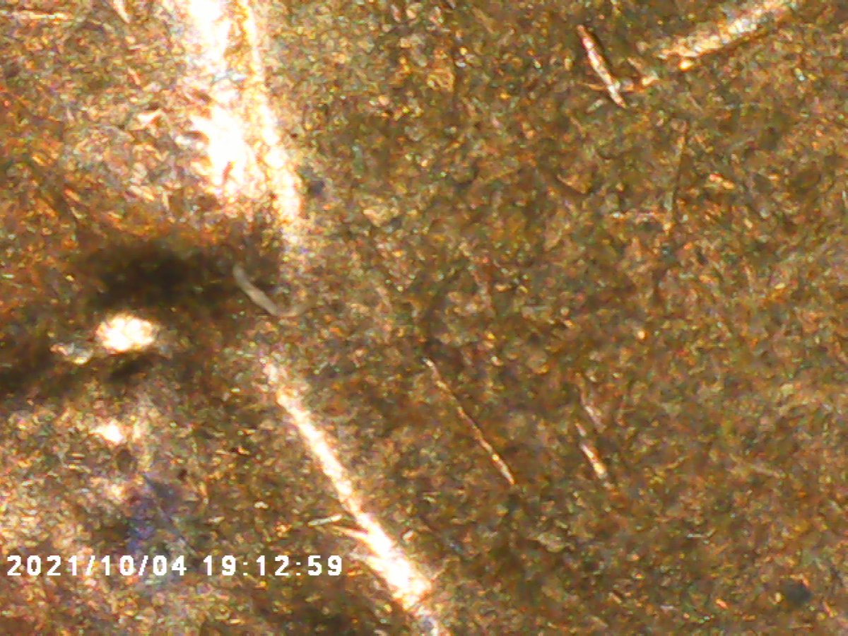 1MM-001-1974-S-Penny-Coppercoins.com-Site