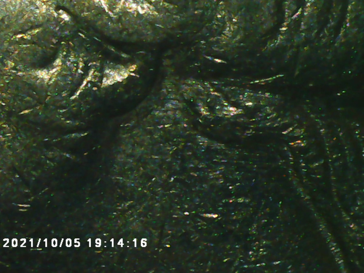 OK-1991-D-Quarter-No-DDO-Or-Reverse-That-I-Have-Found