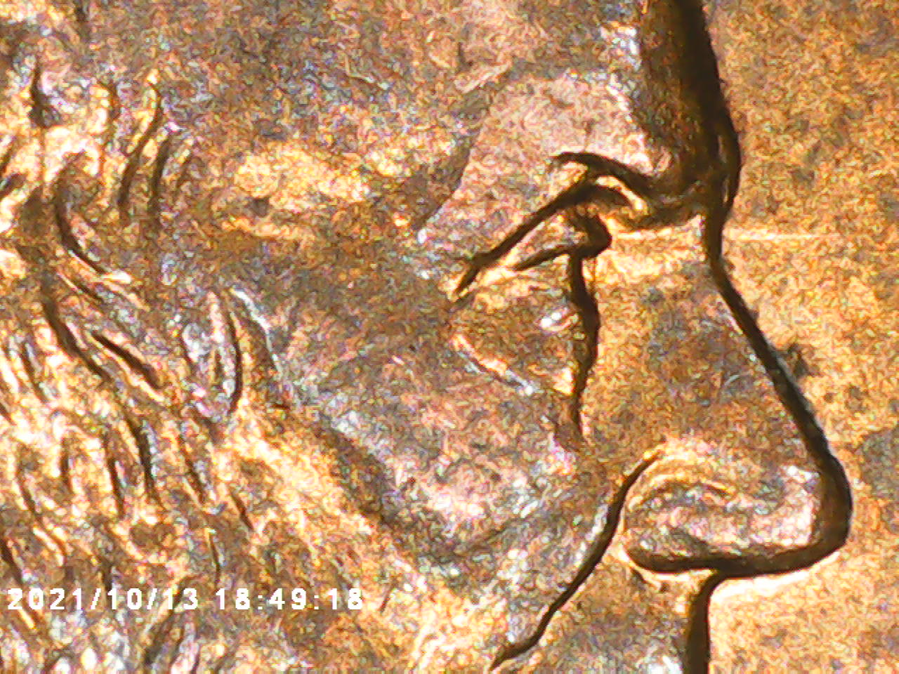 I-Found-An-Angry--Lincoln-1998-P-Penny