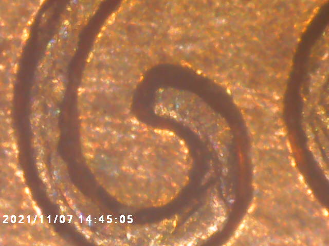 1960-D-Penny-WDDO-002-Simularity