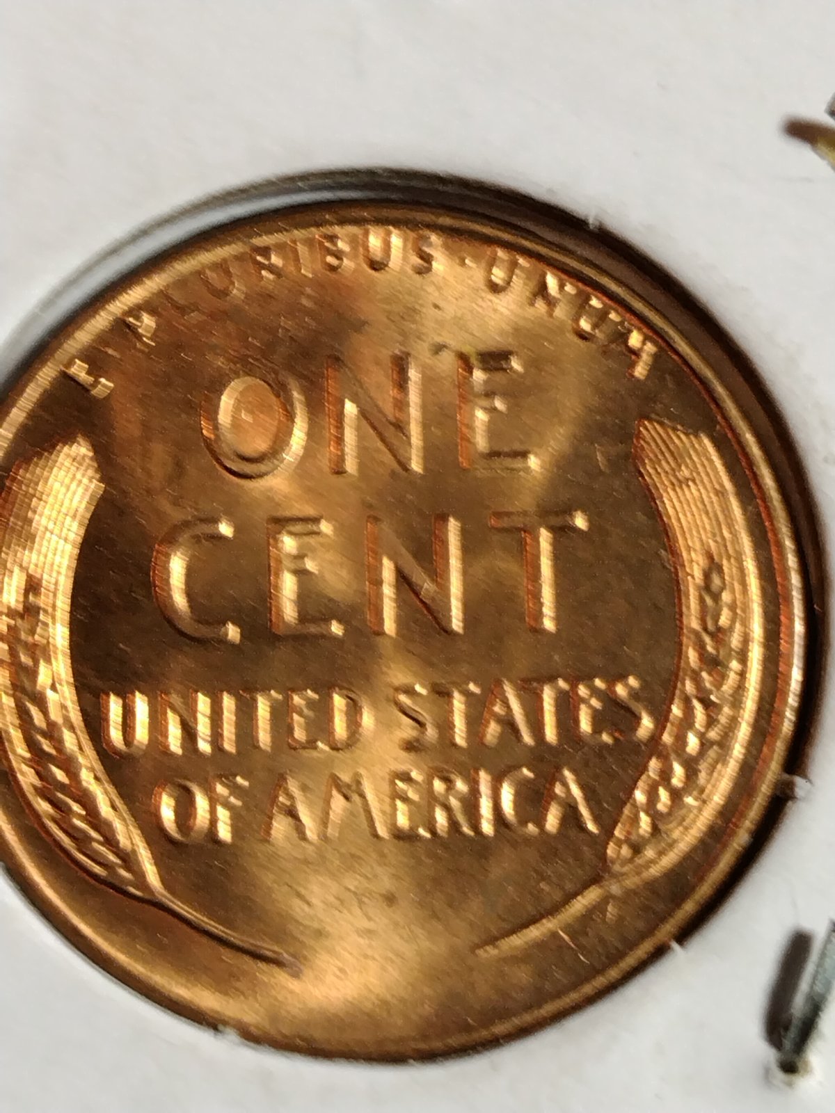 So-Wanted-To-Know-Your-Opinion-Guys-I-Bought-A-Roll-Of-These-For-$10-For-Grading