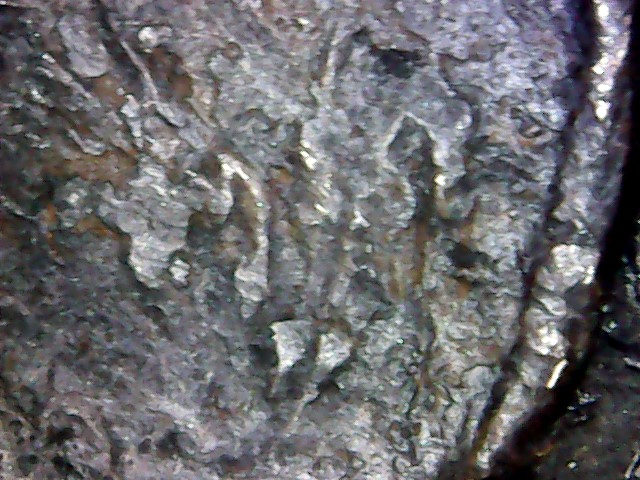 Possible-1969-S-Penny-Badly-Damaged,-See-What-You-Make-Of-It