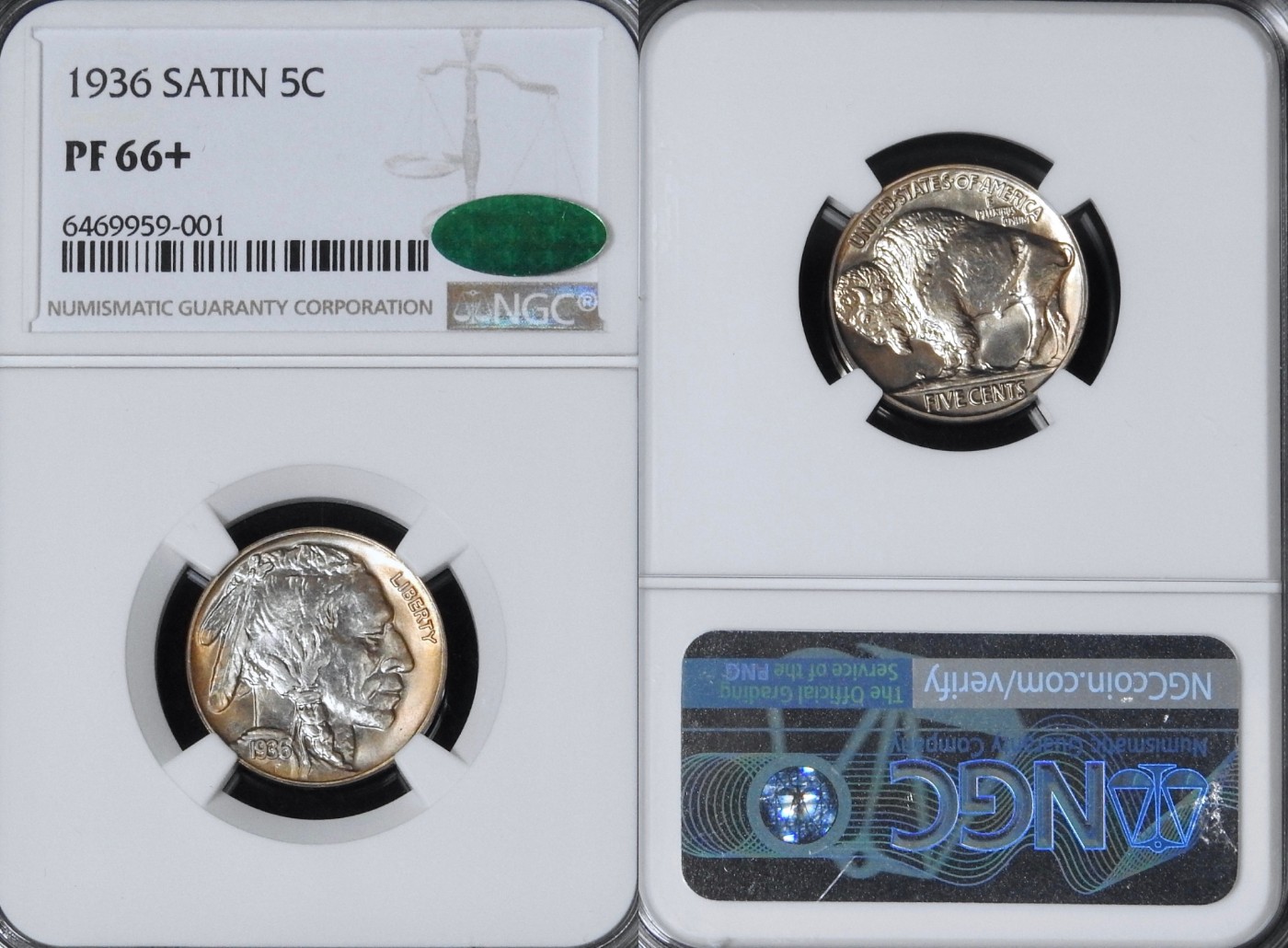 Continuing-List-To-Show-Everyones-Latest-Acquisitions
