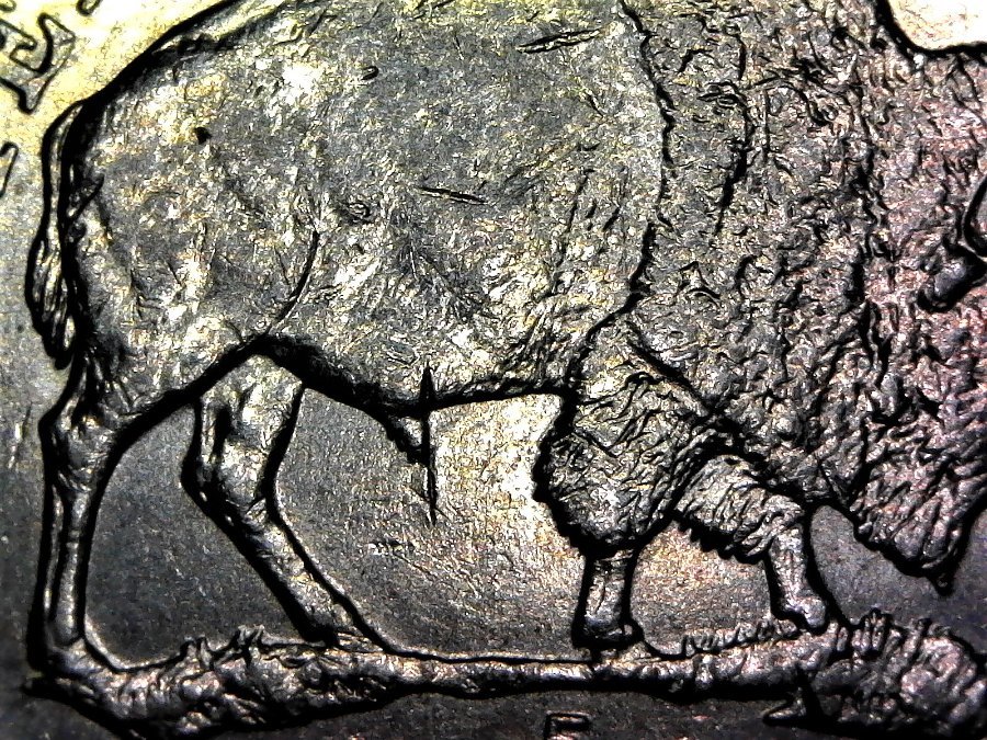 2005-P-Nickel-Die-Crack-On-Buffalo?