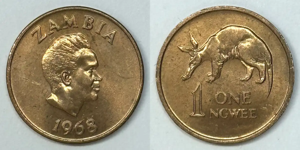Post-Your-Coins-Representing-The-Animal-Kingdom.