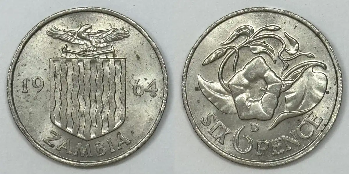Bring-Out-Your-KM#1-Or-Y#1-Coins-For-Show-&-Tell