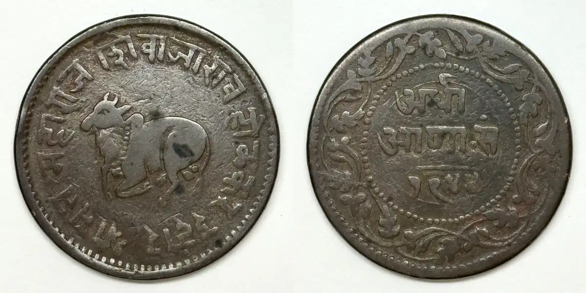 Bovine-Coins---Post-Yours