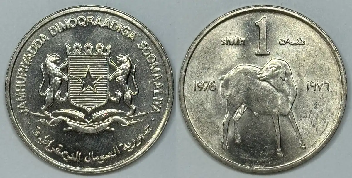 Around-The-World-With-Coins---A-Coin-Geography-Game