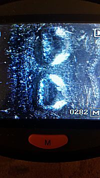 Possible-2012-LSC-DDO-Need-Help-With-With-Identification-First-Post-: