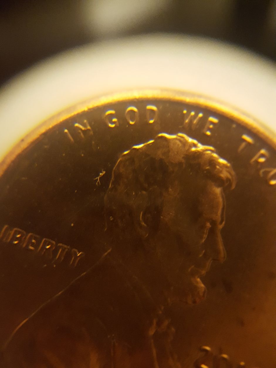 Possible-2012-LSC-DDO-Need-Help-With-With-Identification-First-Post-: