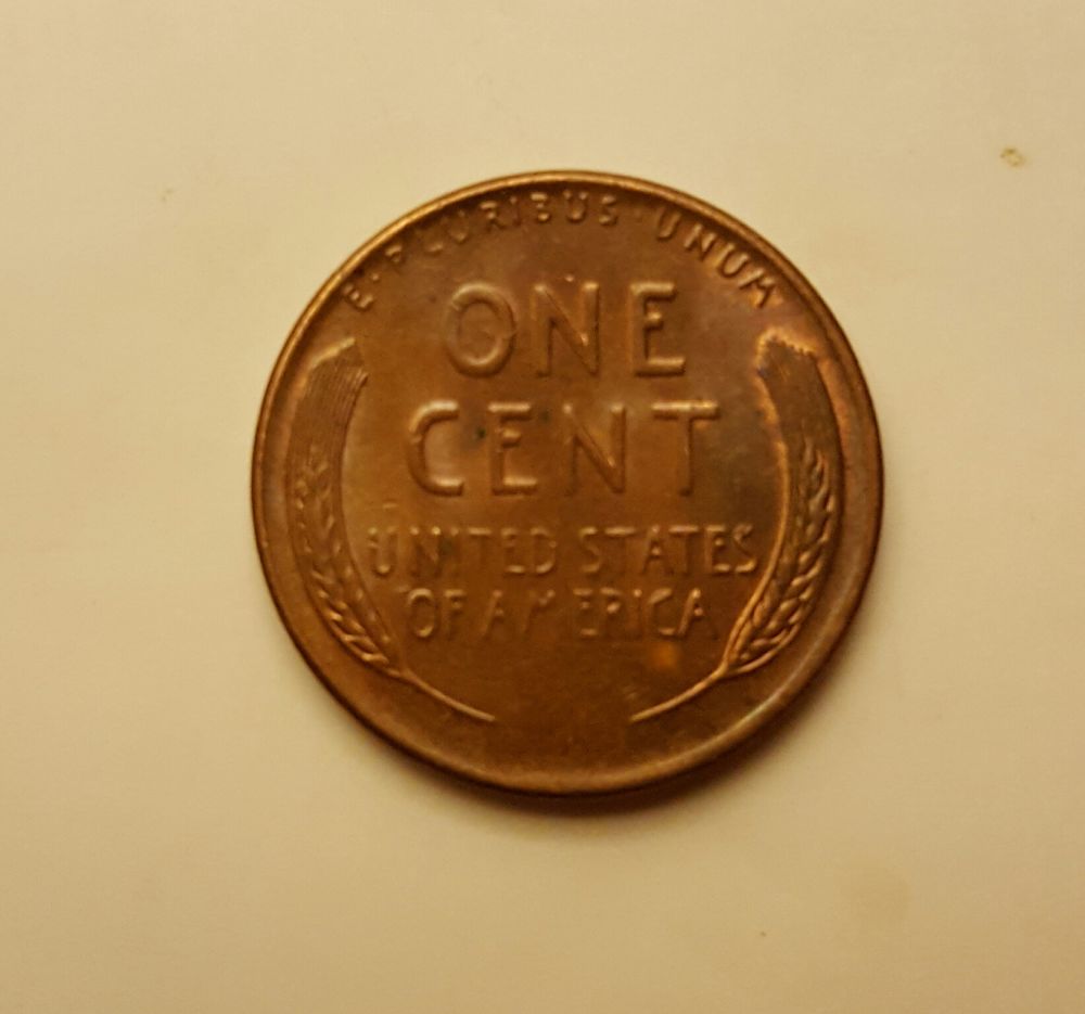 1955-D-LWC-WDDO-001-Finally-Found-My-First-Decent-Wheaty-DD