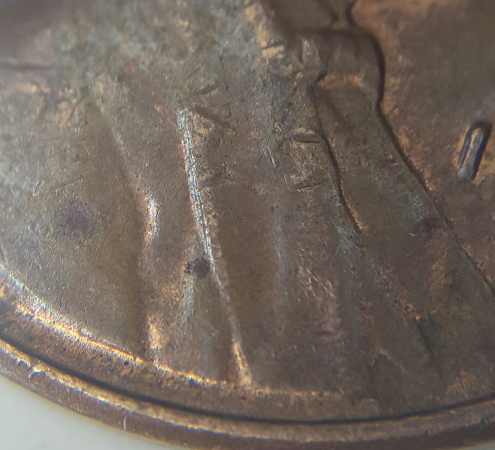 1955-D-LWC-WDDO-001-Finally-Found-My-First-Decent-Wheaty-DD