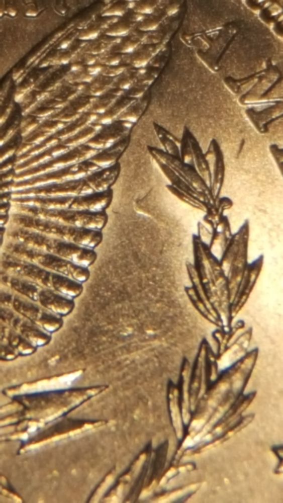 1882-P-Morgan-Die-Clash-On-Obverse-And-Reverse