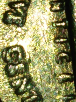 1985-P-Nickle-With-Possible-Errors?-Only-2-Day-Old-Collector!!