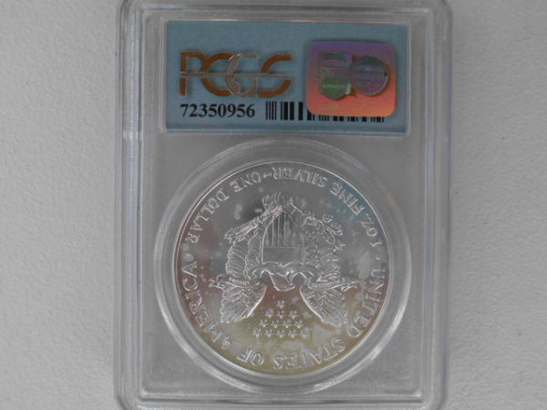 Grading-Question-About-Wtc-Silver-American-Eagle
