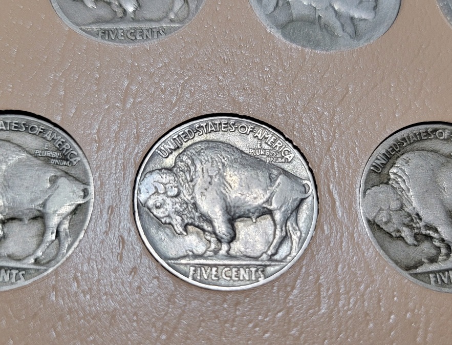 My-Dansco-7117-Nickel-Album---Buffalo-And-Liberty-Nickels