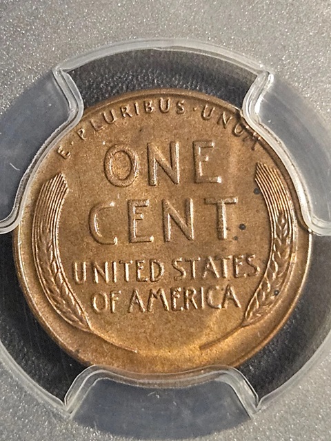 My-Lincoln-Cent-Journey-In-A-Dansco-Album