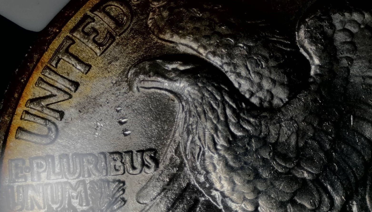 1946-Walking-Liberty-Half-Dollar---DDO-+-Struck-Through-+-Lam