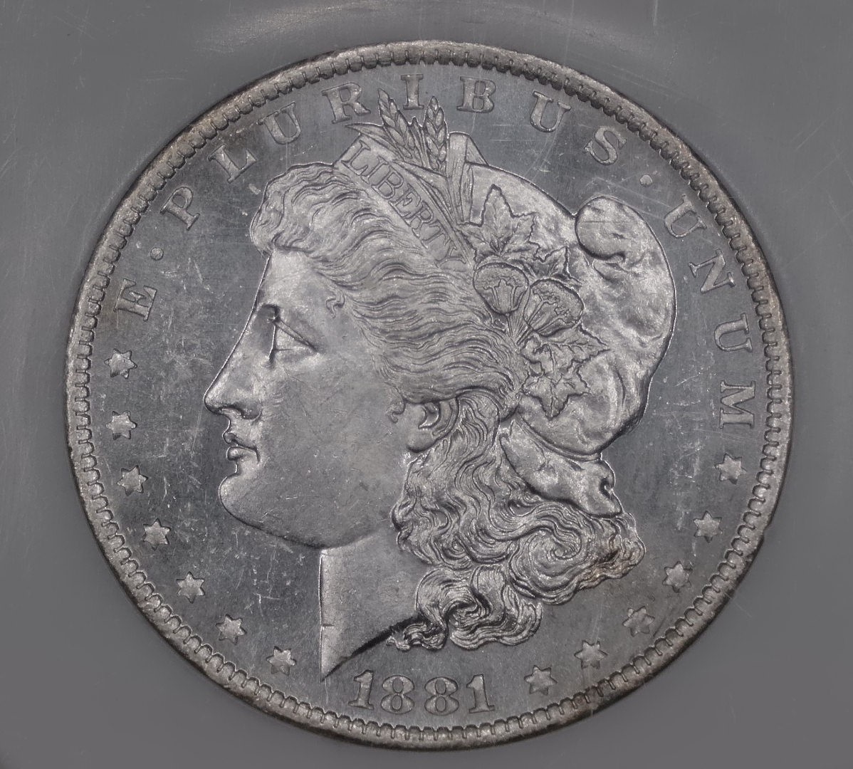 For-Grading---1881-O-Morgan-Dollar