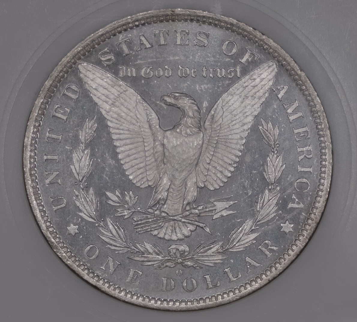 For-Grading---1881-O-Morgan-Dollar