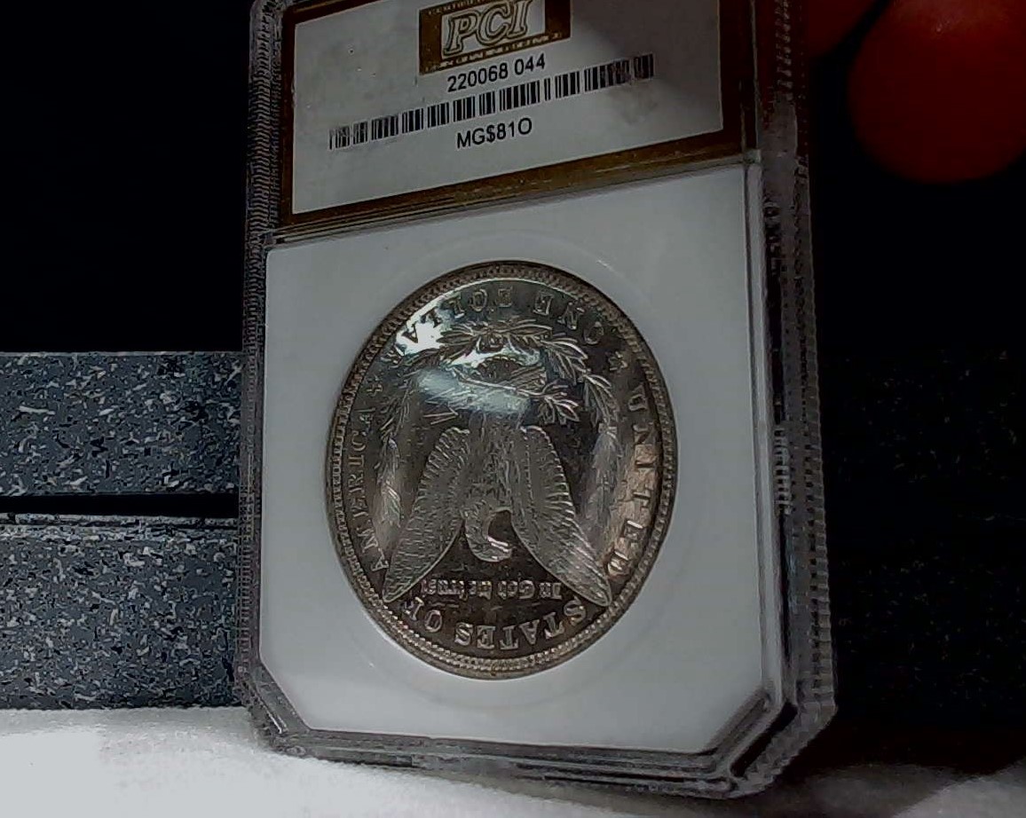 For-Grading---1881-O-Morgan-Dollar