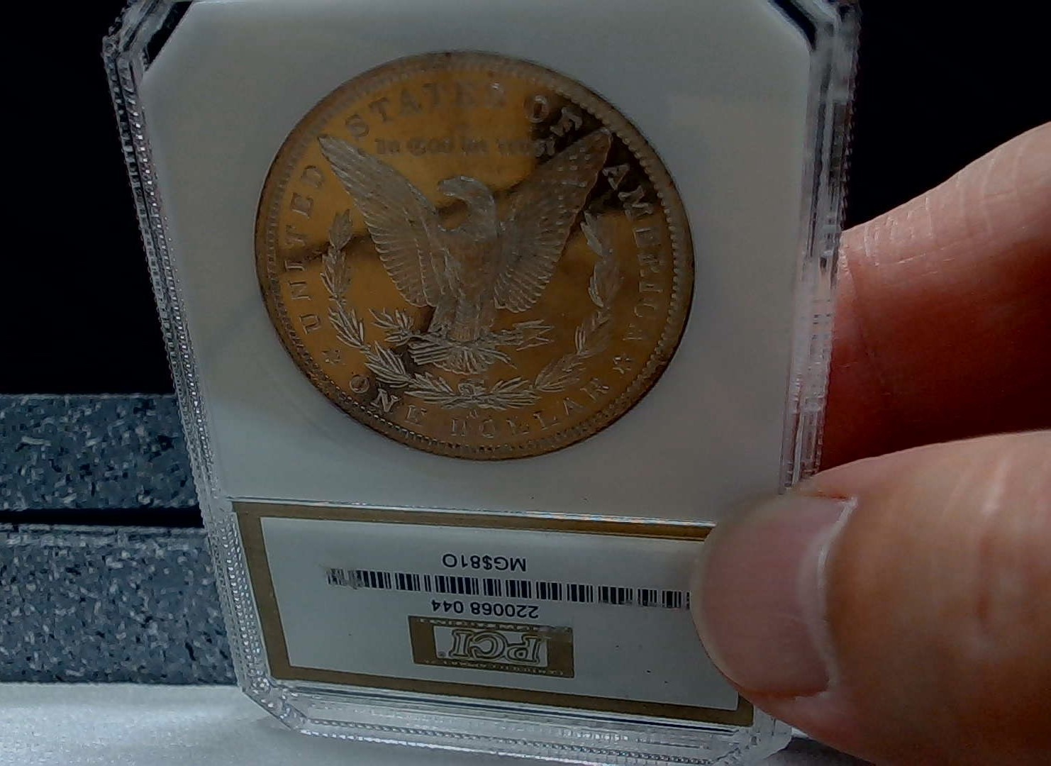 For-Grading---1881-O-Morgan-Dollar