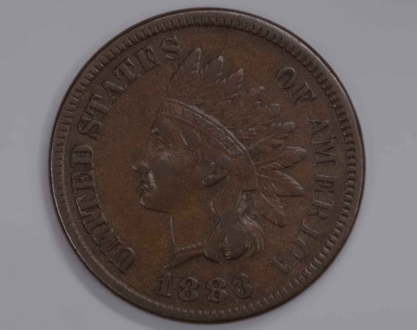 For-Grading---1883-Indian-Head-Cent