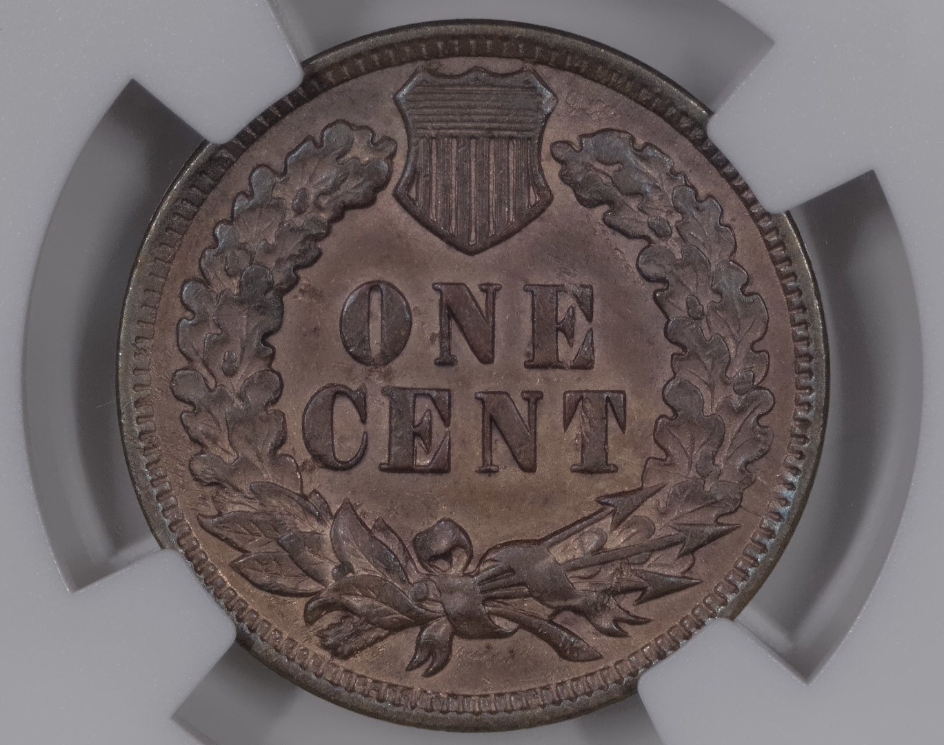 1906-Indian-Head-Cent---S-19-Opinions