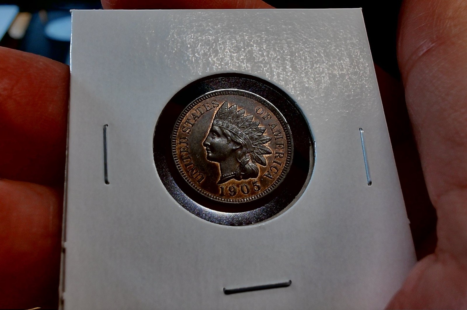 For-Grading---1905-Indian-Head-Cent