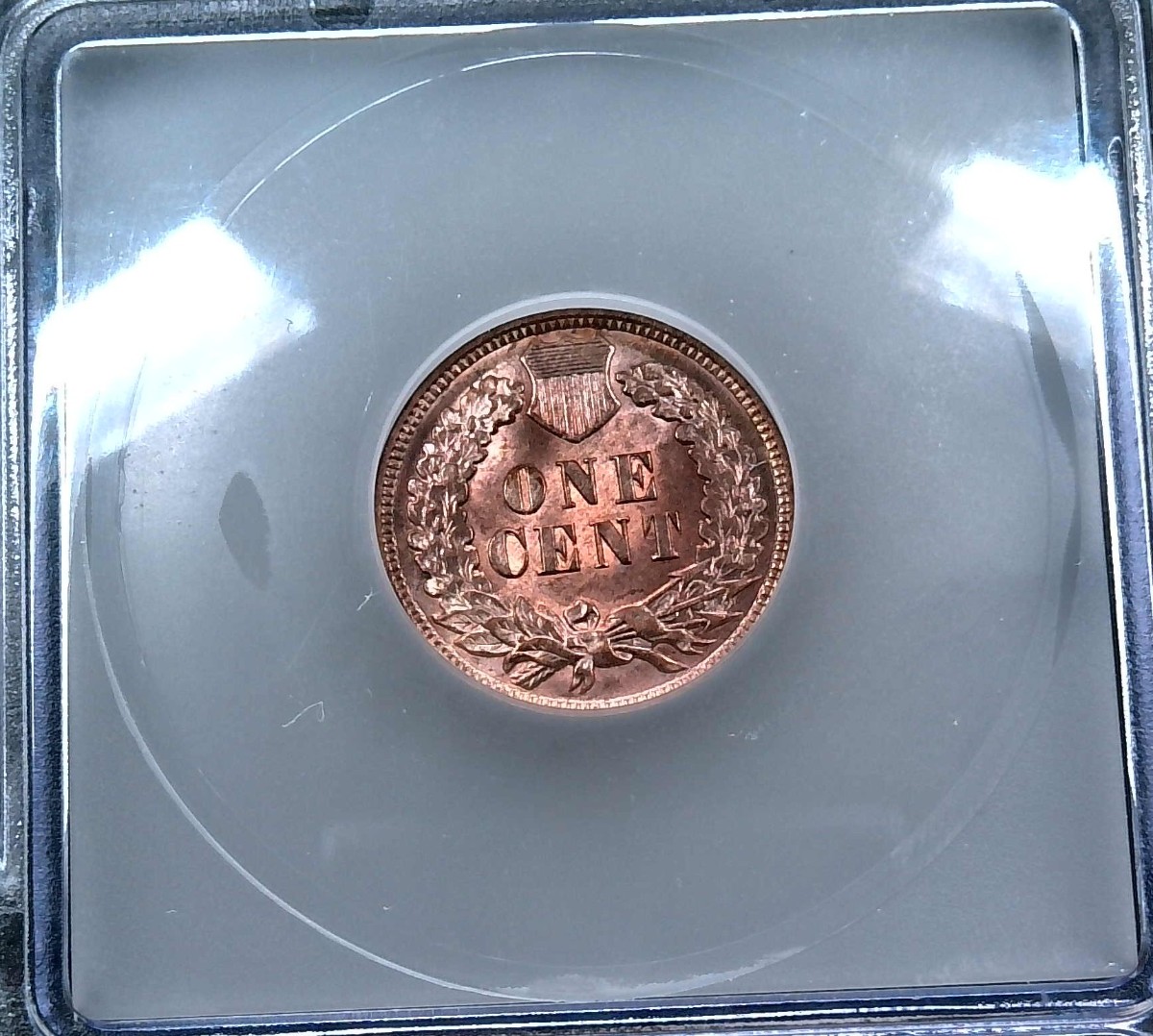 For-Grading---1908-Indian-Head-Cent