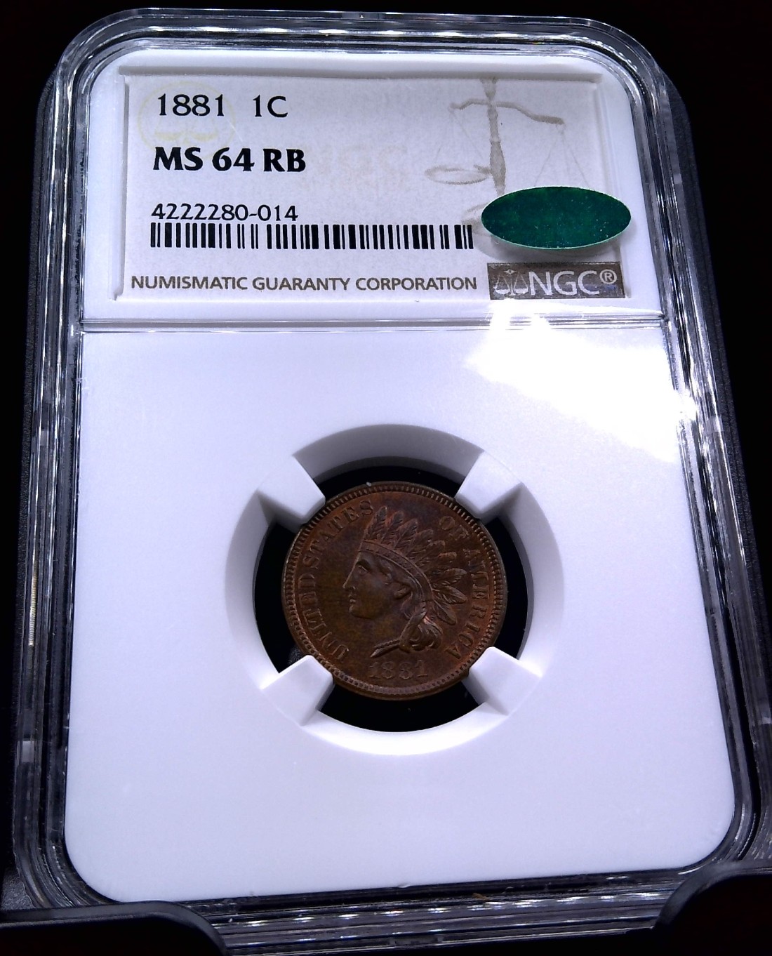 Just-Sharing---1881-Indian-Head-Cent-Snow-8-Missing-Detail