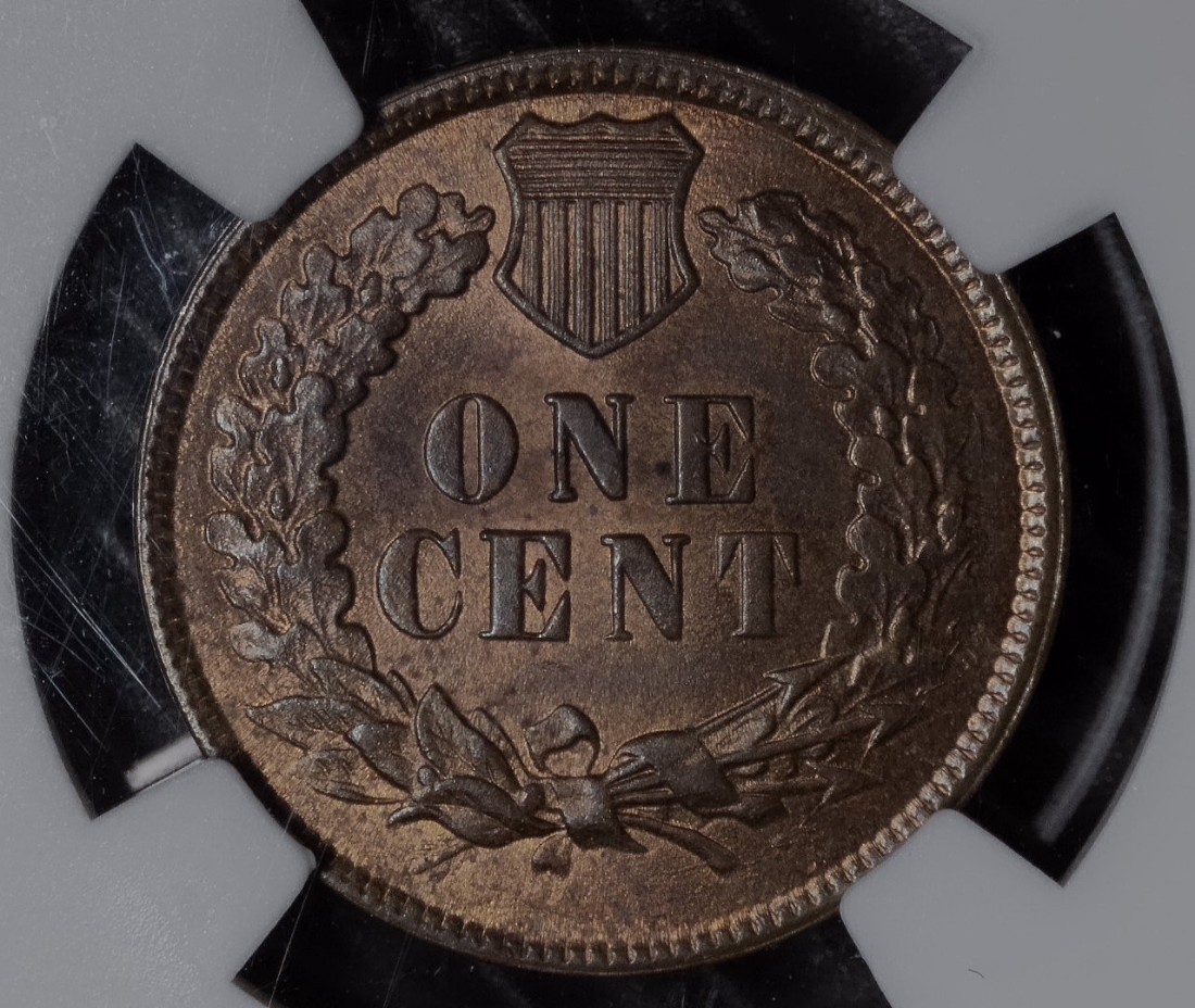 Just-Sharing---1881-Indian-Head-Cent-Snow-8-Missing-Detail