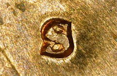 1974-S-Lincoln-Cent-MM?