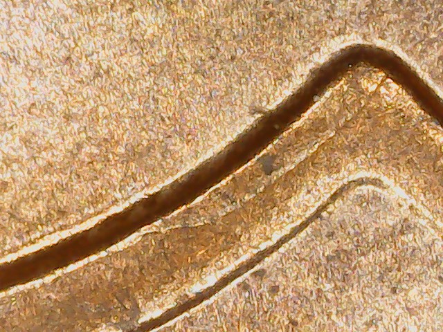 2011-Lincoln-Cent-DDO-001-Found-In-Todays-Change
