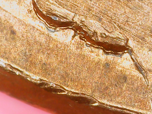 Lincoln-Cent-2010-Unique-Die-Crack
