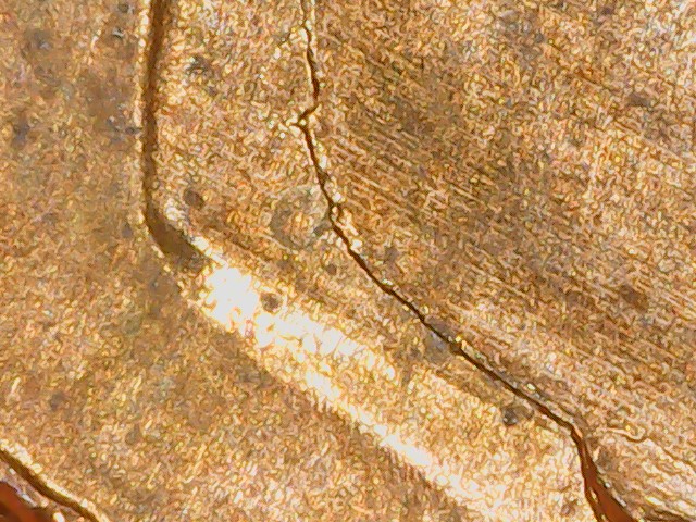 Lincoln-Cent-2010-Unique-Die-Crack