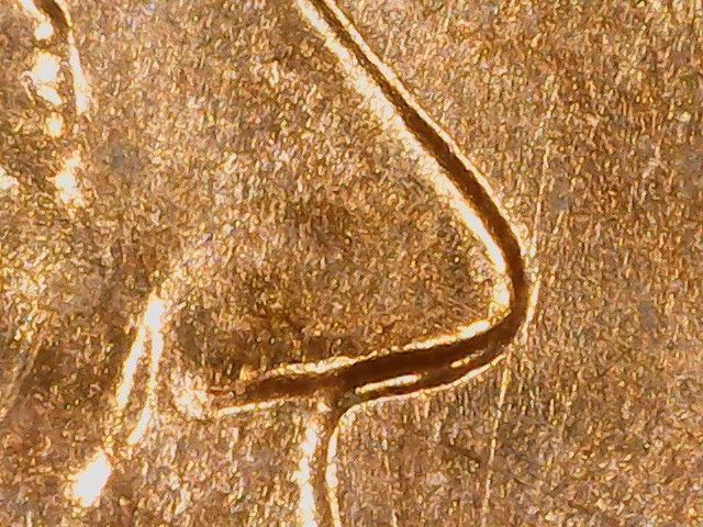 Lincoln-Cent-2010-Unique-Die-Crack