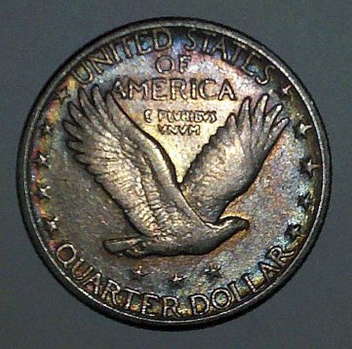 Toned-SLQ-Set---Dansco-Or-Whitman???