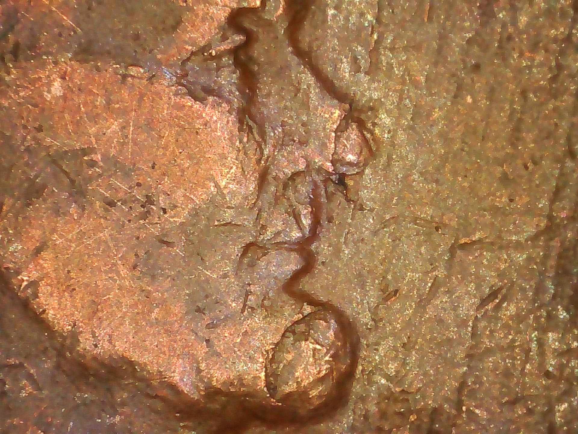 1928-Lincoln-One-Cent-Lamination-Error